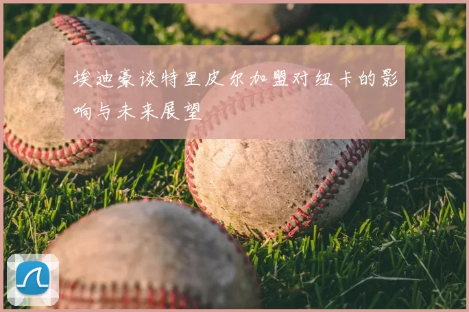 埃迪豪谈特里皮尔加盟对纽卡的影响与未来展望
