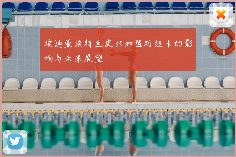 埃迪豪谈特里皮尔加盟对纽卡的影响与未来展望