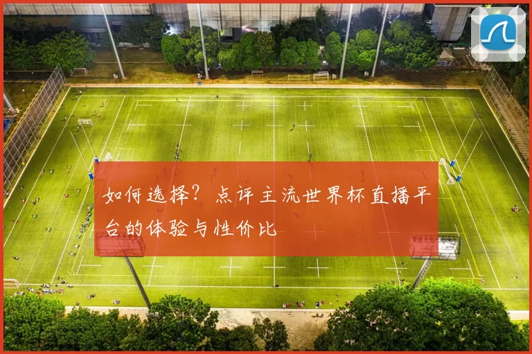 如何选择?点评主流世界杯直播平台的体验与性价比