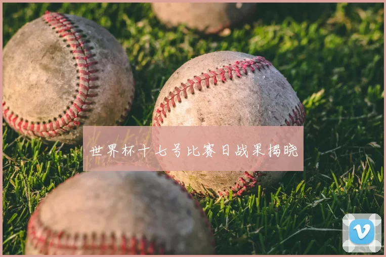 世界杯十七号比赛日战果揭晓