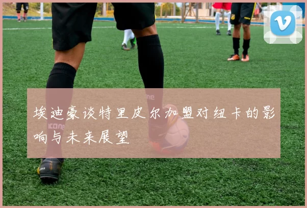 埃迪豪谈特里皮尔加盟对纽卡的影响与未来展望