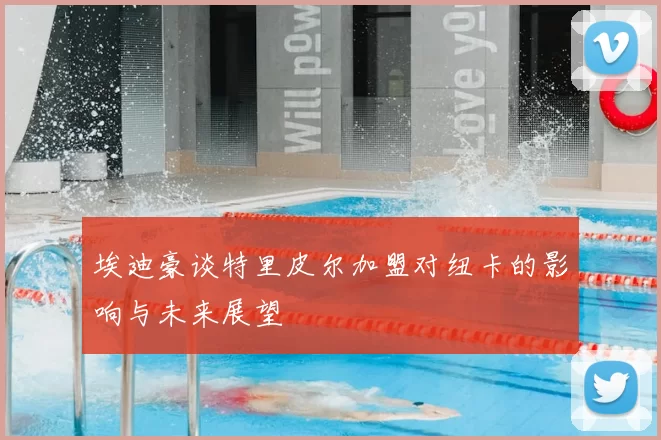 埃迪豪谈特里皮尔加盟对纽卡的影响与未来展望