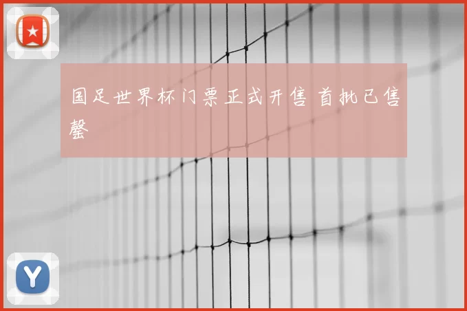 国足世界杯门票正式开售 首批已售罄