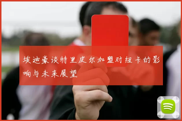 埃迪豪谈特里皮尔加盟对纽卡的影响与未来展望