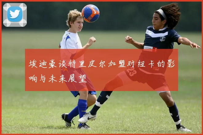 埃迪豪谈特里皮尔加盟对纽卡的影响与未来展望