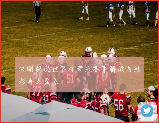 洪刚解说世界杯带来赛事解读与精彩看点盘点