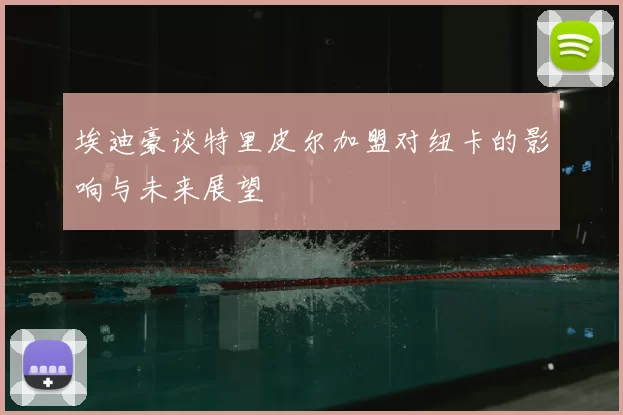 埃迪豪谈特里皮尔加盟对纽卡的影响与未来展望