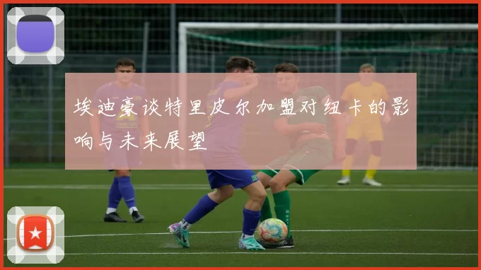埃迪豪谈特里皮尔加盟对纽卡的影响与未来展望