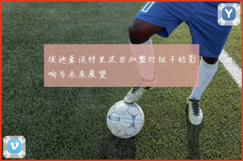 埃迪豪谈特里皮尔加盟对纽卡的影响与未来展望