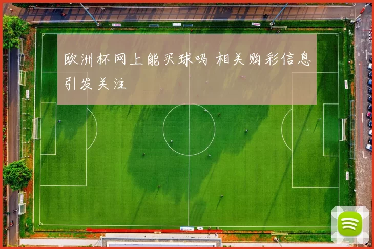 欧洲杯网上能买球吗 相关购彩信息引发关注