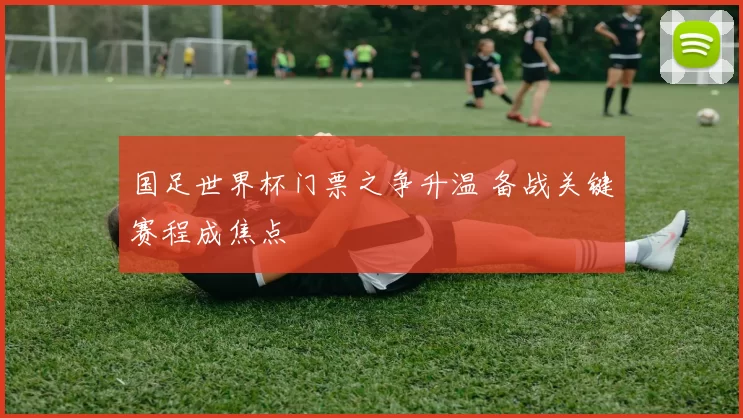 国足世界杯门票之争升温 备战关键赛程成焦点