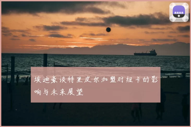 埃迪豪谈特里皮尔加盟对纽卡的影响与未来展望