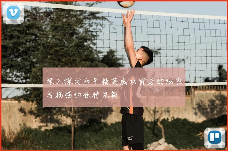 深入探讨和平精英成功背后的秘密与杨强的独特见解