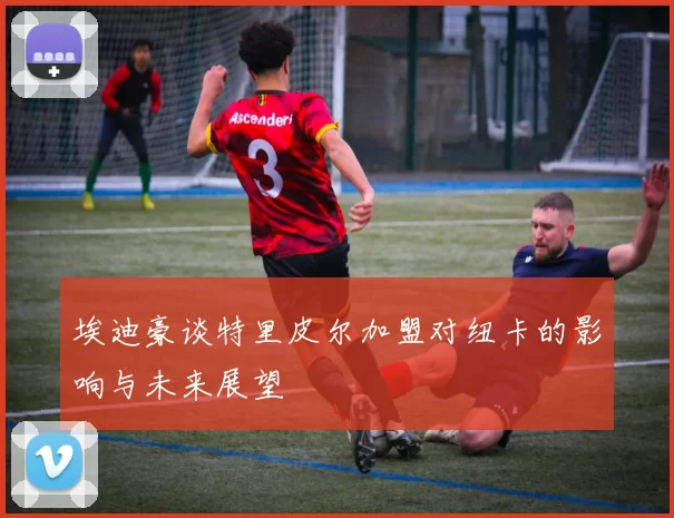 埃迪豪谈特里皮尔加盟对纽卡的影响与未来展望