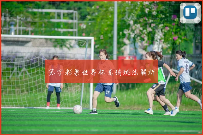 苏宁彩票世界杯竞猜玩法解析