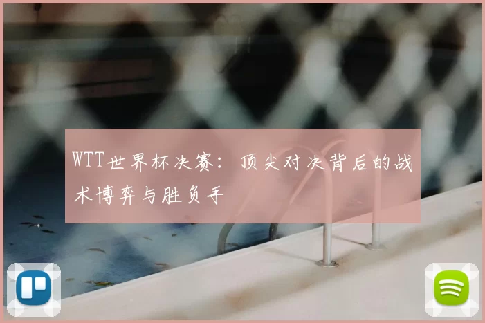 WTT世界杯决赛：顶尖对决背后的战术博弈与胜负手