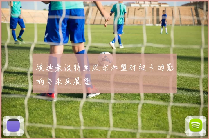 埃迪豪谈特里皮尔加盟对纽卡的影响与未来展望