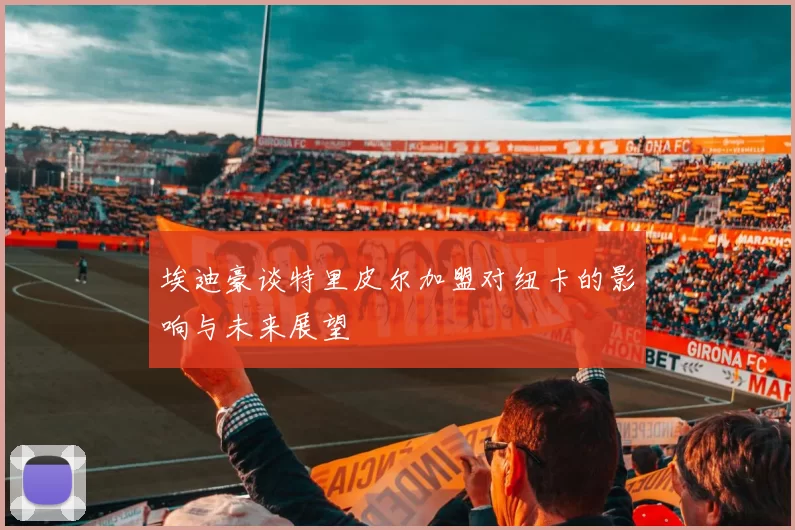 埃迪豪谈特里皮尔加盟对纽卡的影响与未来展望