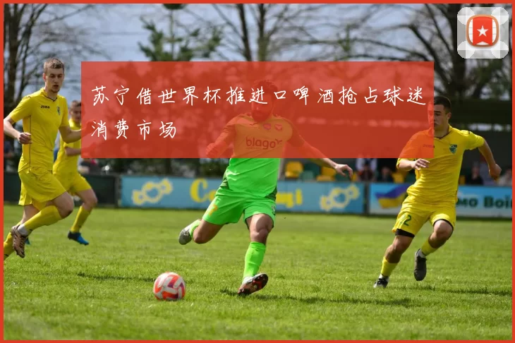 苏宁借世界杯推进口啤酒抢占球迷消费市场