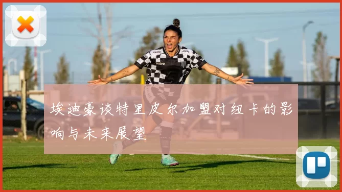 埃迪豪谈特里皮尔加盟对纽卡的影响与未来展望