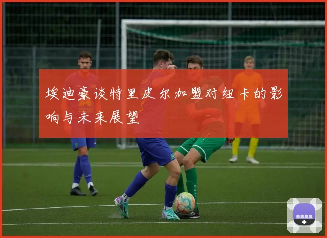 埃迪豪谈特里皮尔加盟对纽卡的影响与未来展望